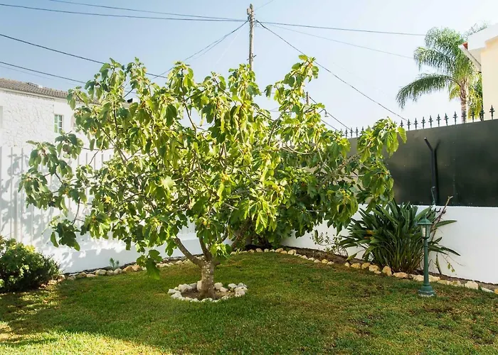 Casa Da Quintinha - Villa With A Pool